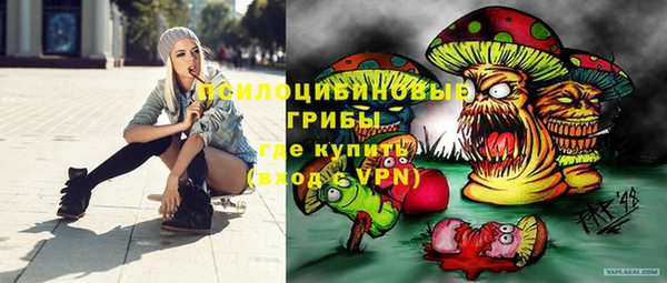 дурь Медвежьегорск