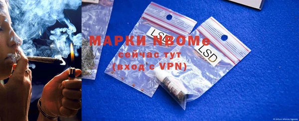 PSILOCYBIN Магас
