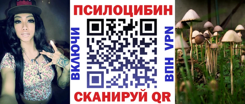Купить  Котлас  Галлюциногенные грибы Psilocybe 