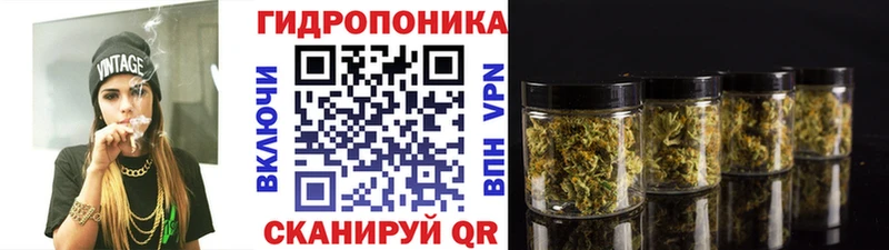 Купить закладки  Котлас  Конопля гибрид 